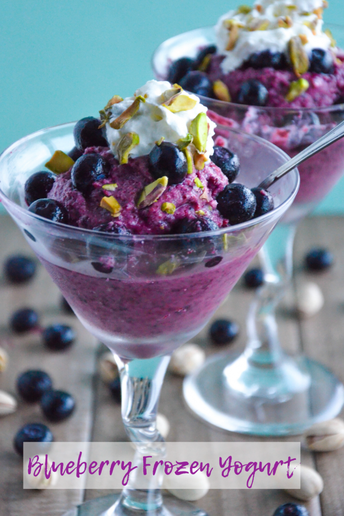 blueberry frozen yogurt