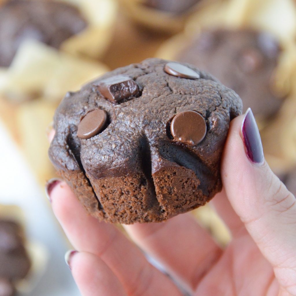 closeup shot of a hand holding a chocolate muffin