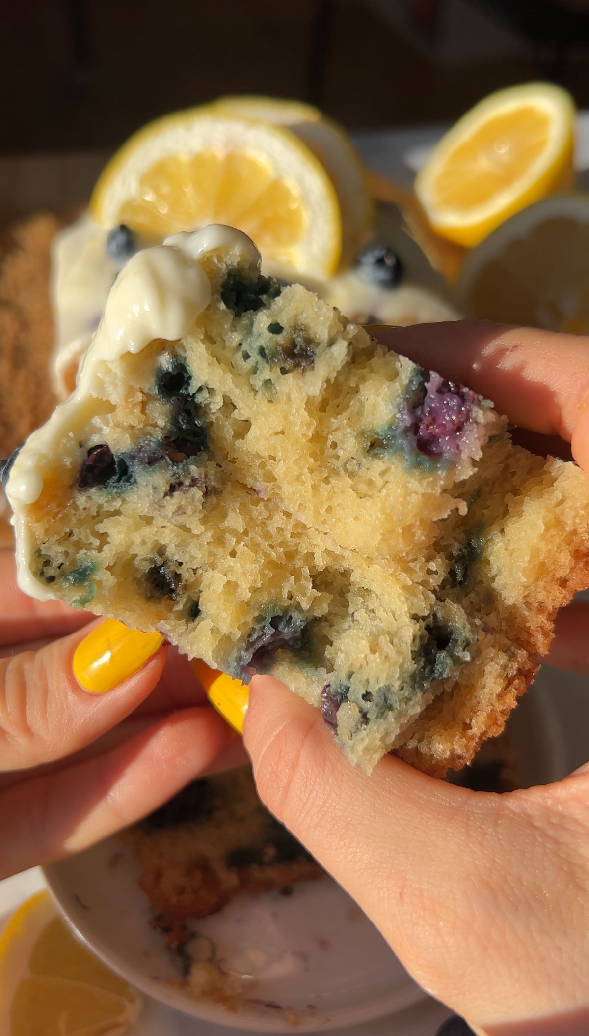 closeup of a slice of vegan blueberry cake