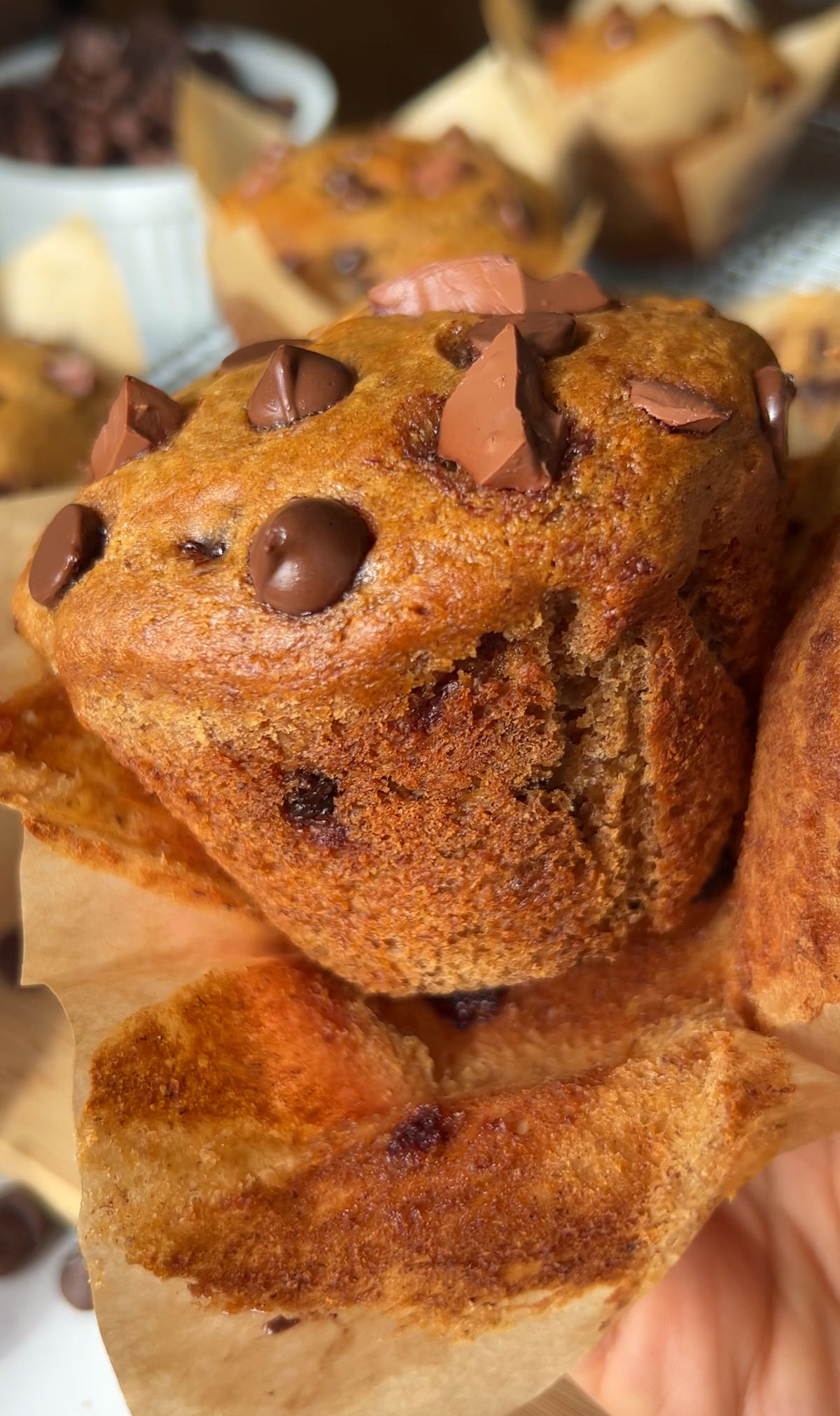 a closeup of a vegan chocolate chip muffin