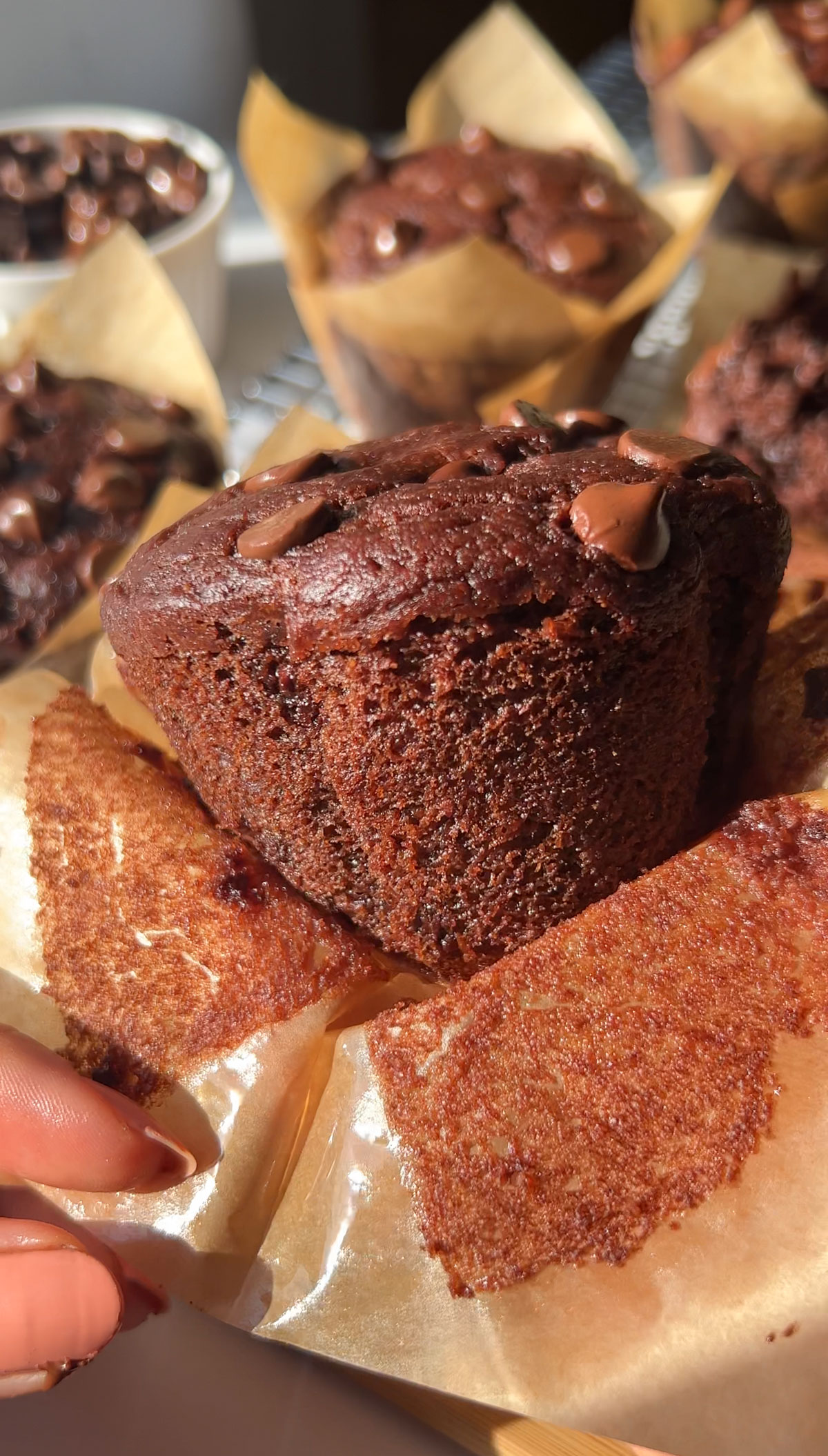a vegan chocolate muffin