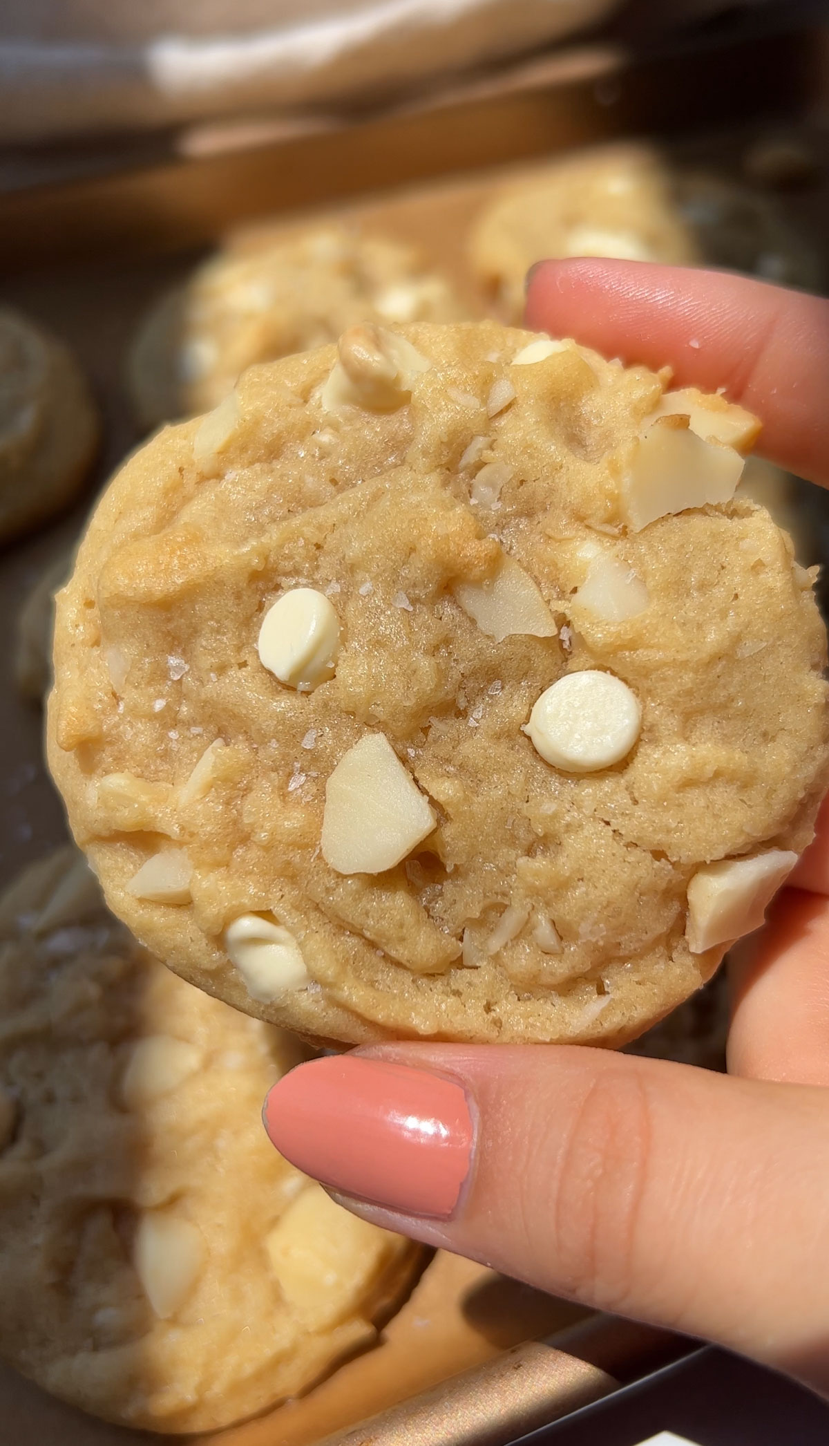 up close shot of a white chocolate macadamia cookie