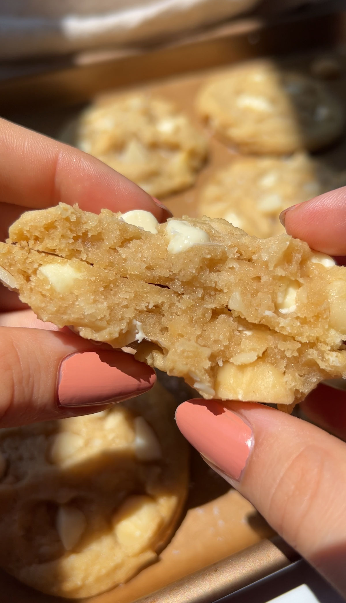 the inside texture of a white chocolate macadamia cookie