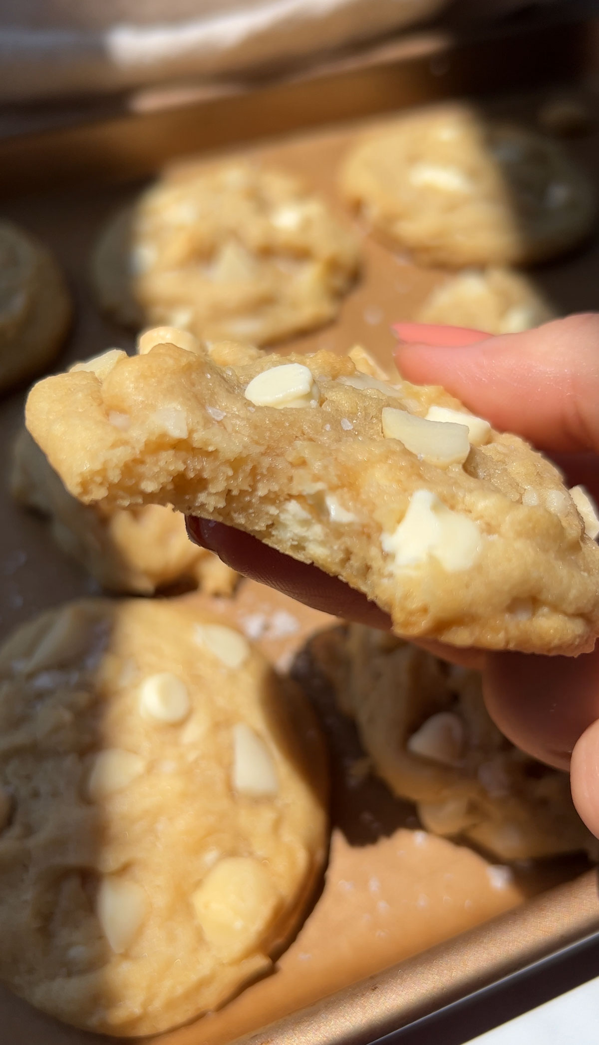a white chocolate macadamia cookie with a bite taken into it