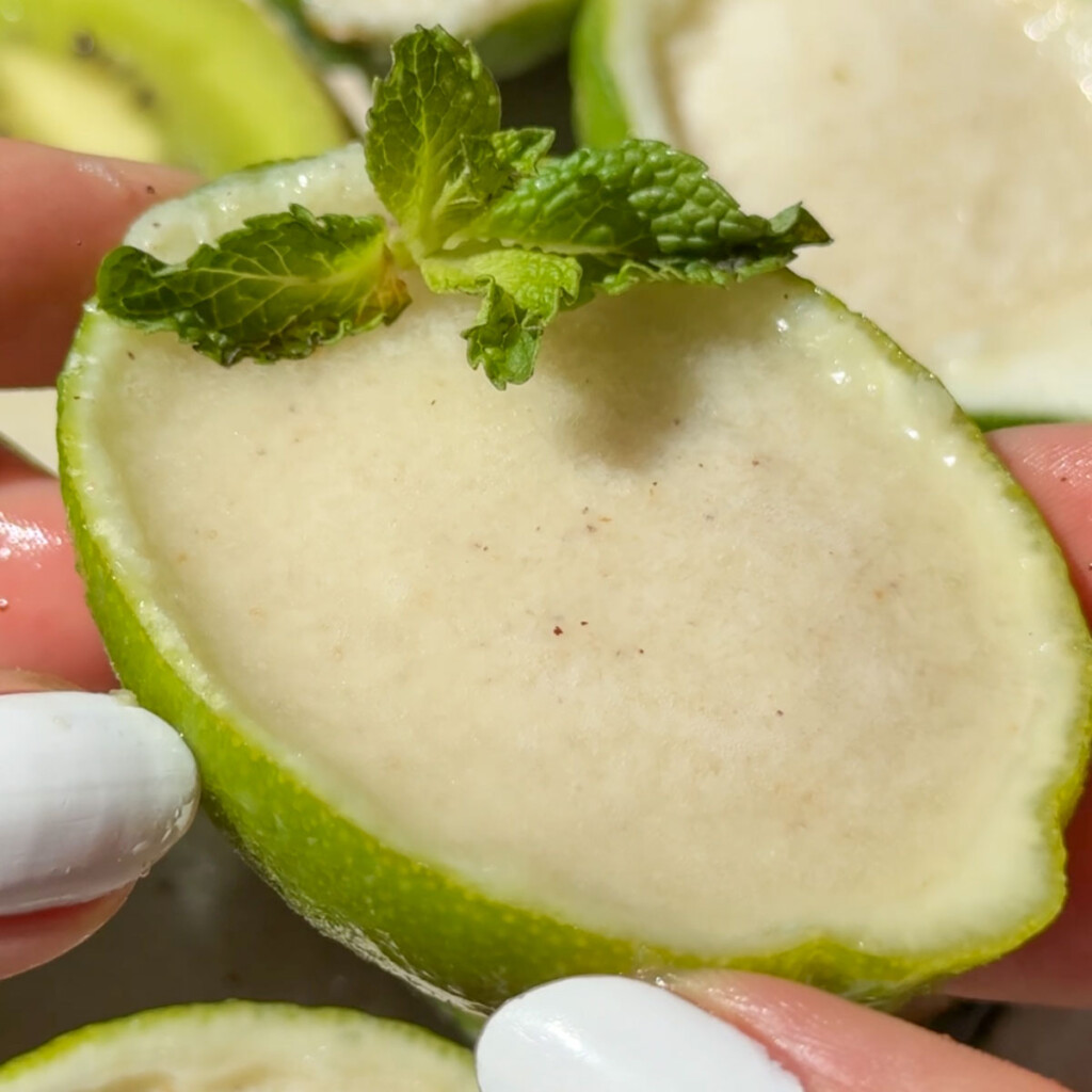 Easy Lime Sorbet Veggie World Recipes