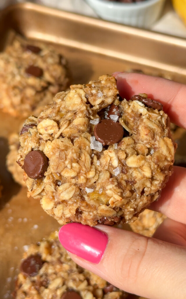 Vegan Oatmeal Cookies with Chocolate Chips Veggie World Recipes