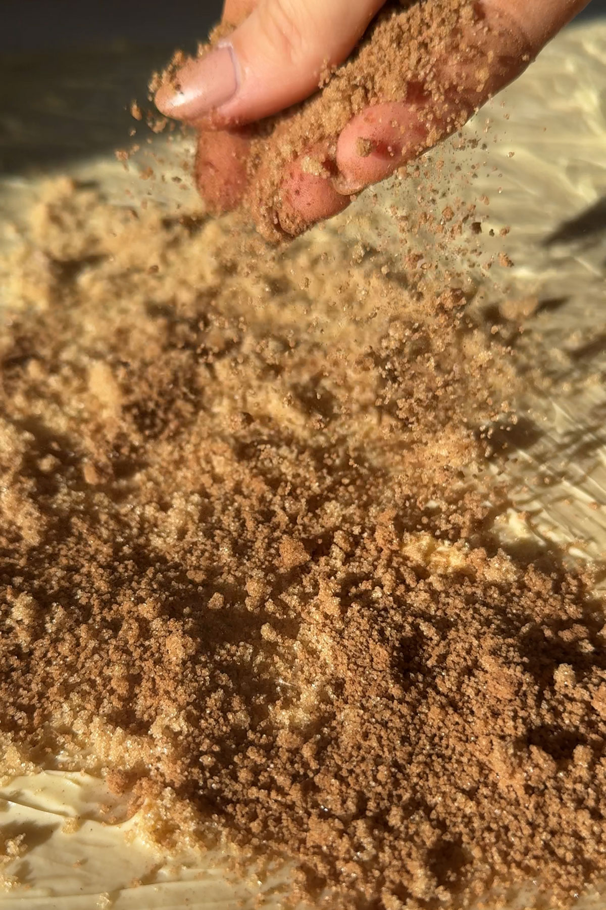 Cinnamon and sugar added to cinnamon roll dough.