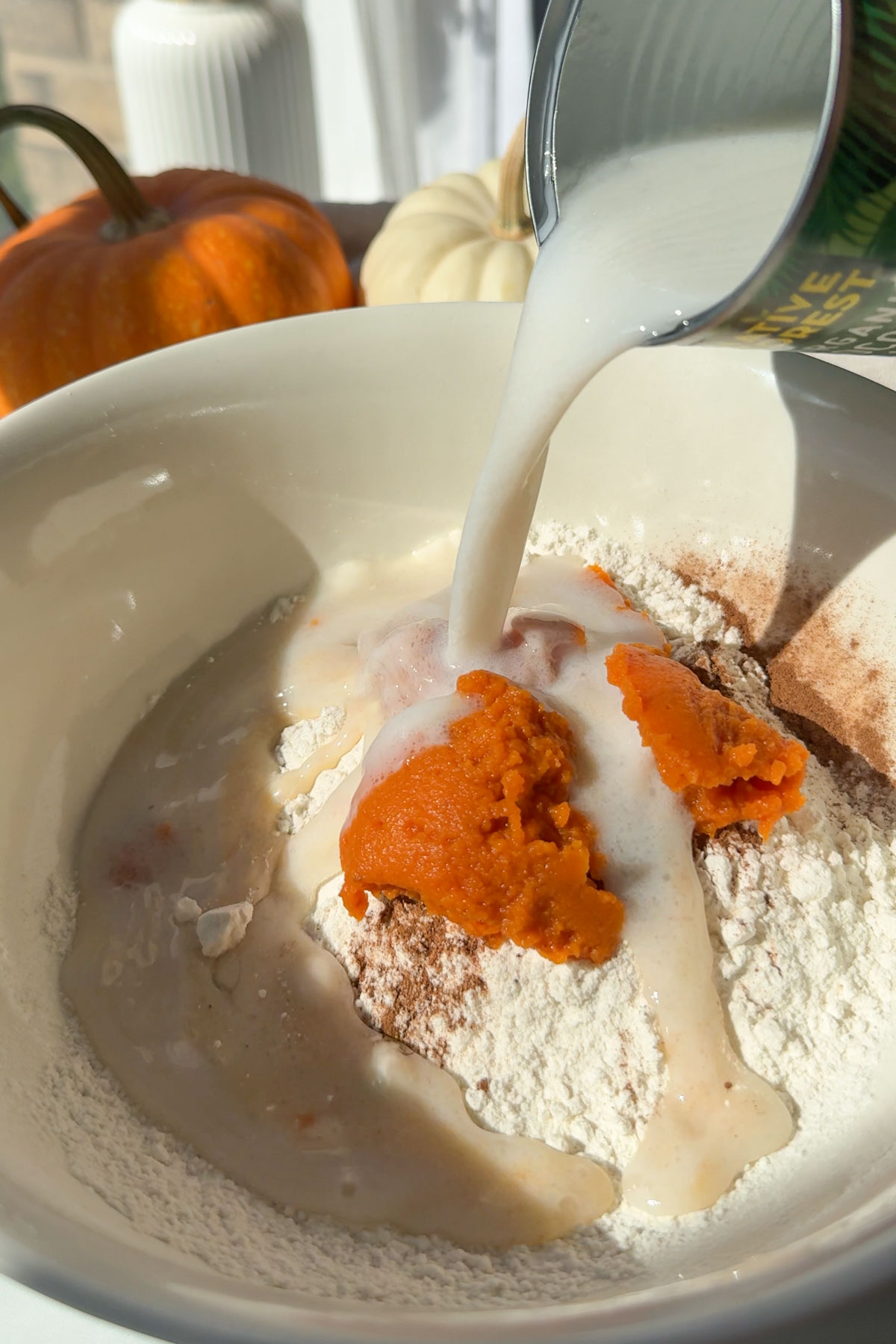 All the ingredients added to a large mixing bowl.